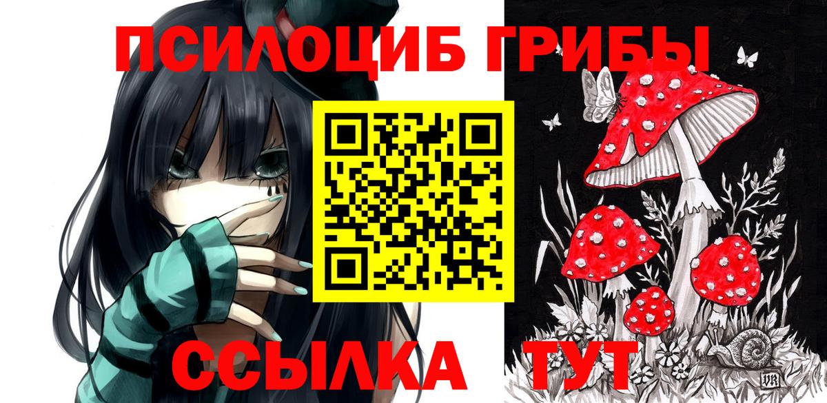 Галлюциногенные грибы мицелий  Псилоцибиновые грибы Magic Shrooms  Лыткарино  Вход с VPN 